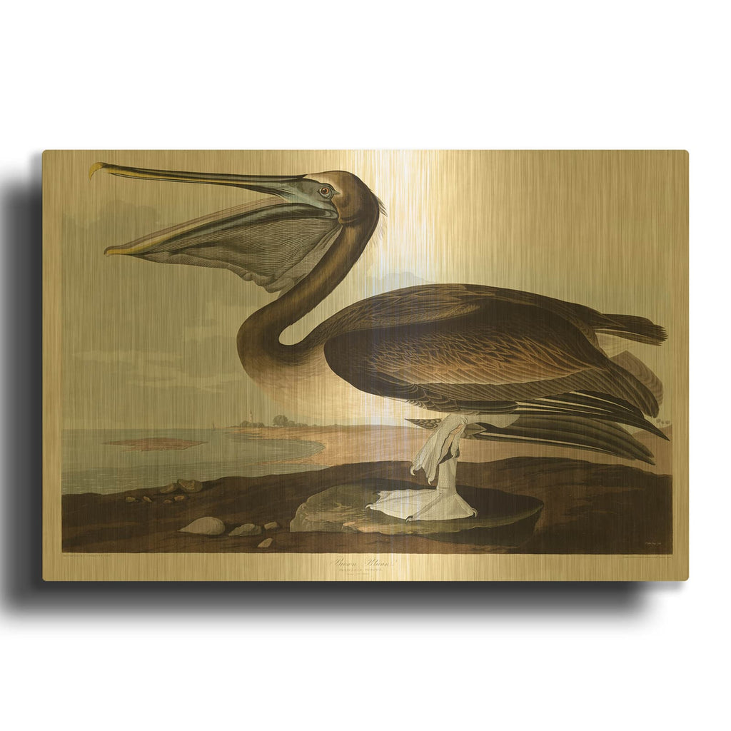 'Brown Pelican' By Stellar Design Studio Gold Metal Wall Art