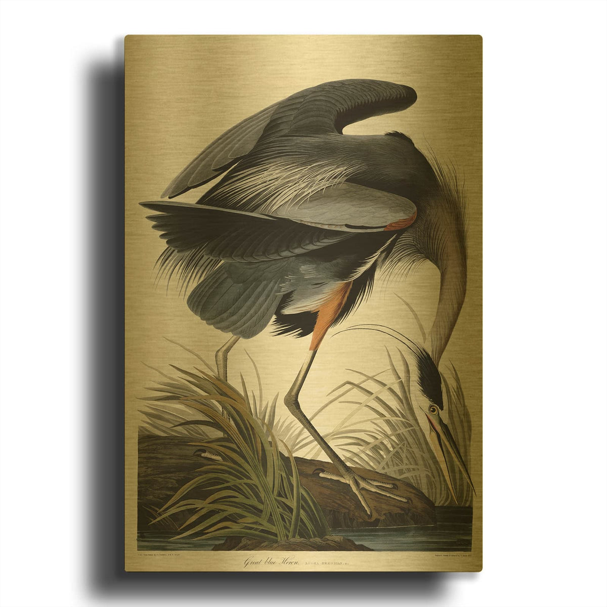 'Great Blue Heron' By Stellar Design Studio Gold Metal Wall Art