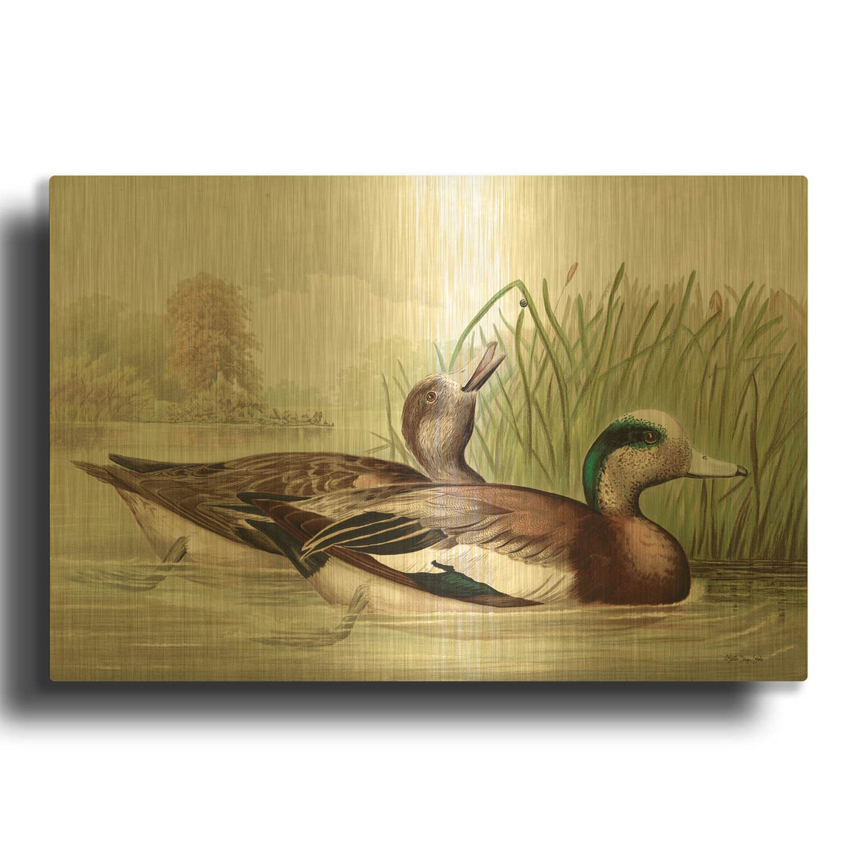 'Resting Duck 1' By Stellar Design Studio Gold Metal Wall Art