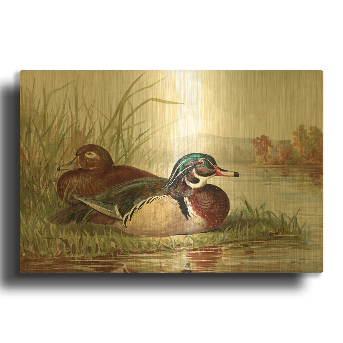 'Resting Duck 2' By Stellar Design Studio Gold Metal Wall Art