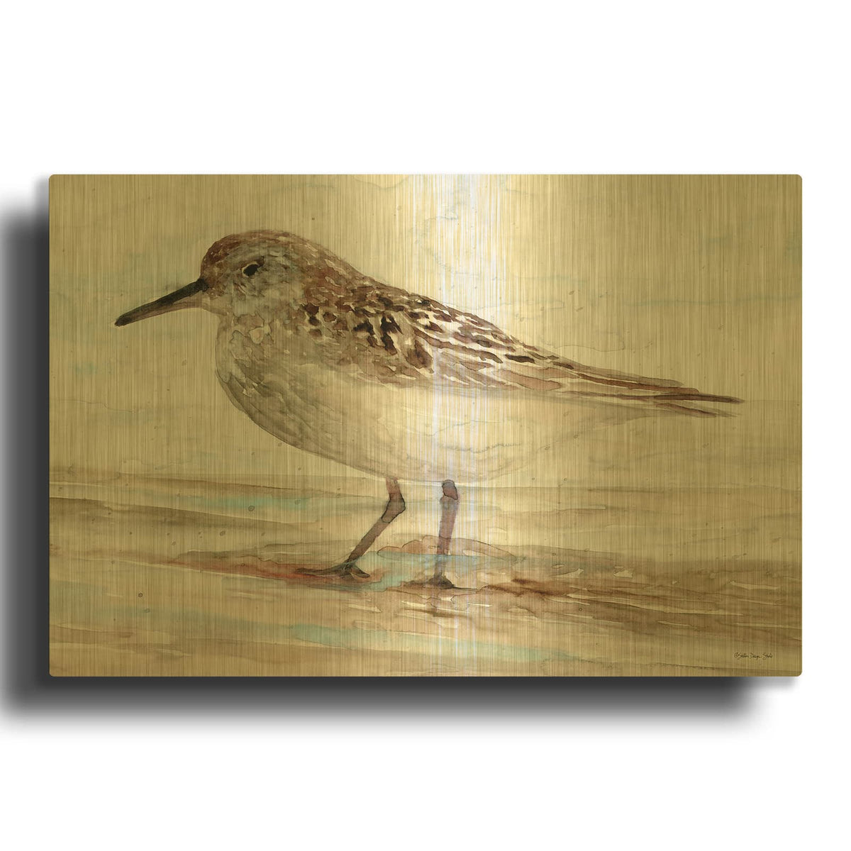 'Sanibel Piper 1' By Stellar Design Studio Gold Metal Wall Art