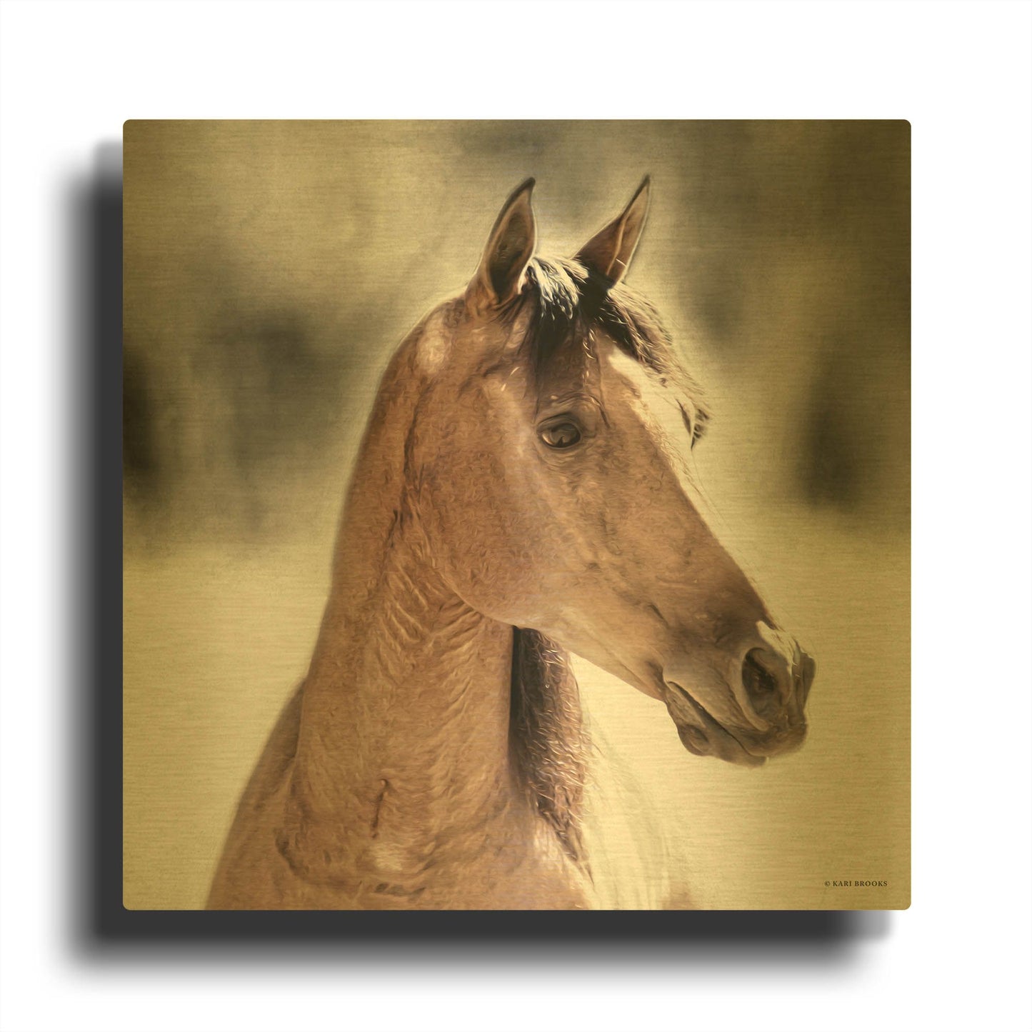 'Sugar' By Kari Brooks Gold Metal Wall Art