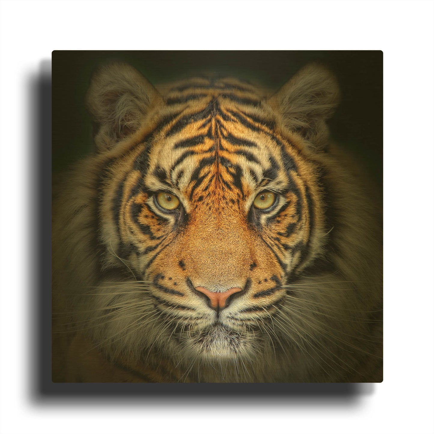 'Wild Side' By LUXE Gold Metal Wall Art