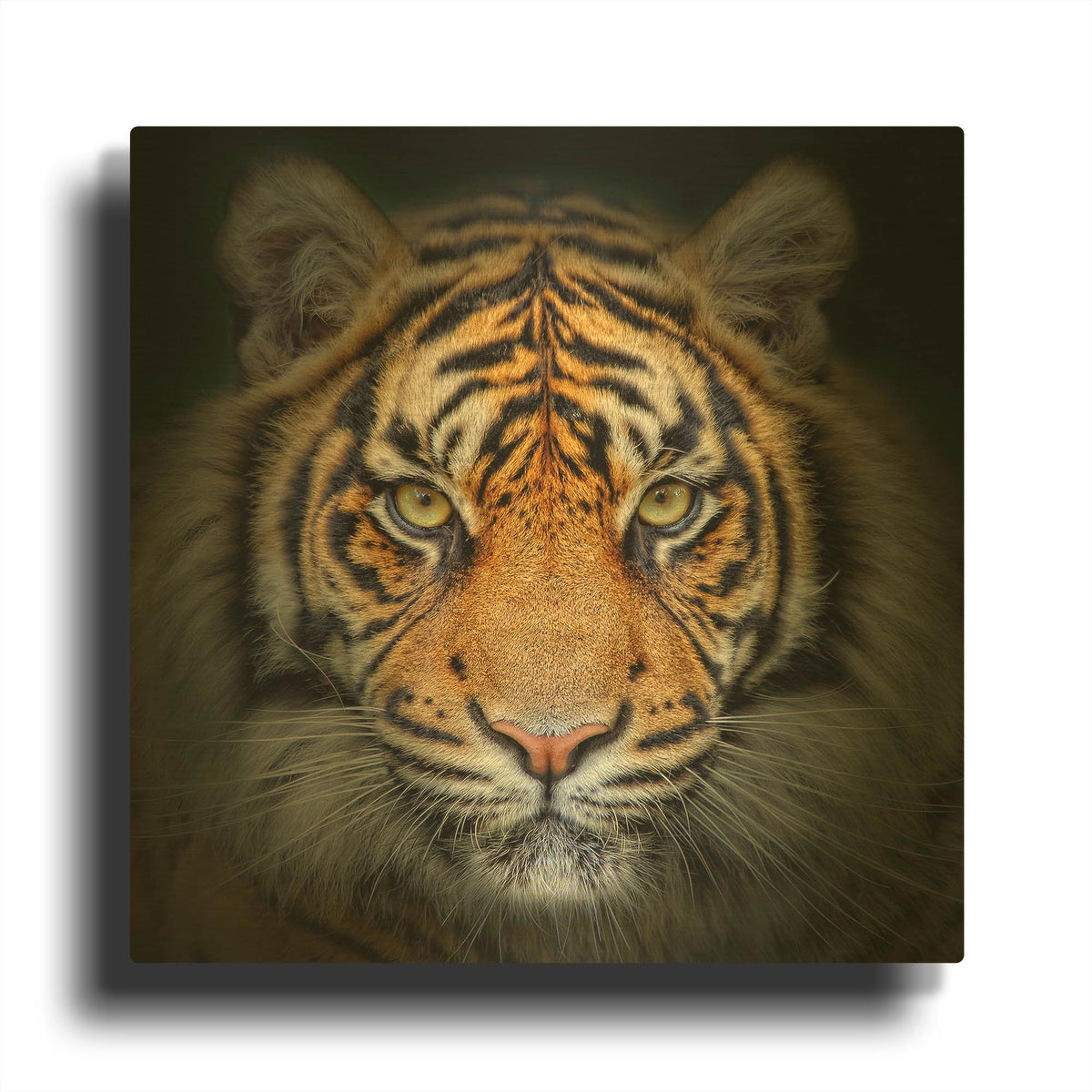 'Wild Side' By LUXE Gold Metal Wall Art