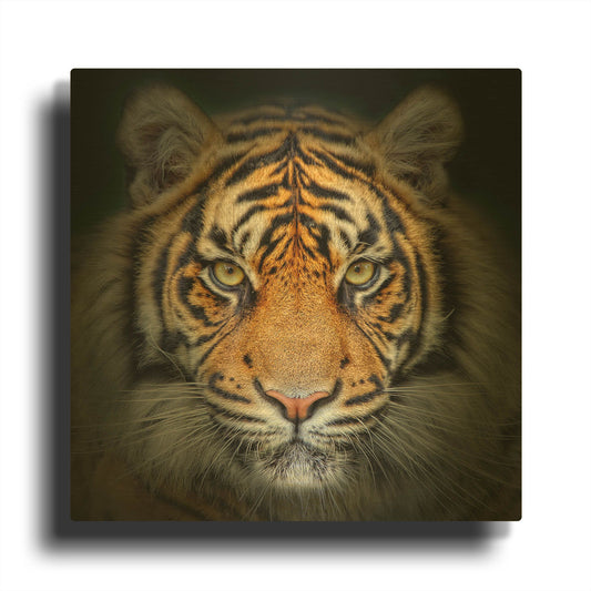 'Wild Side' By LUXE Gold Metal Wall Art