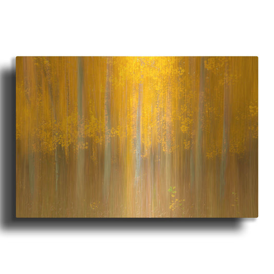 'Changing Seasons' By Darren White Gold Metal Wall Art