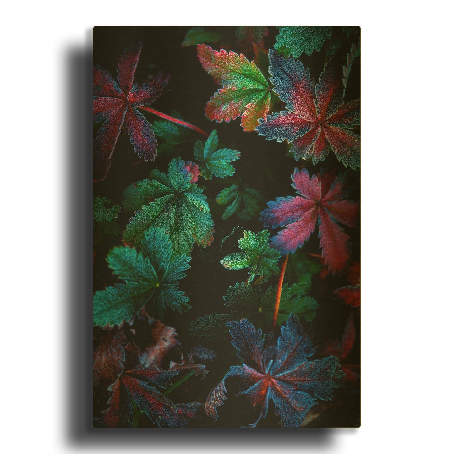 'Frosty Fall' By Darren White Gold Metal Wall Art
