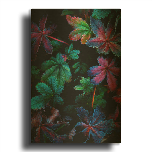 'Frosty Fall' By Darren White Gold Metal Wall Art