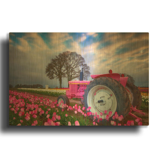 'Jane Deere' By Darren White Gold Metal Wall Art