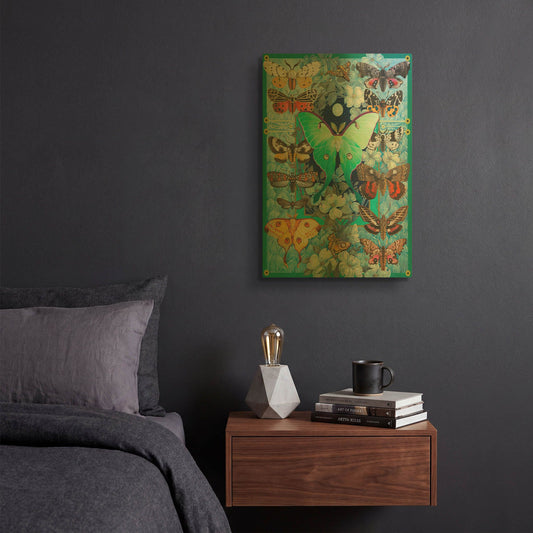 'Moth Mania' By David Galchutt Gold Metal Wall Art