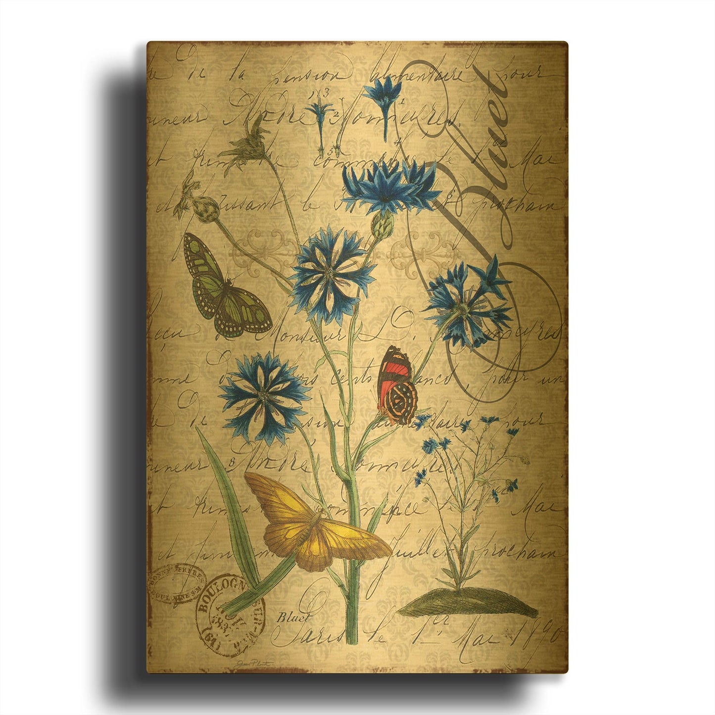 'Botanical Aster Bluet Damask' By Jean Plout Gold Metal Wall Art