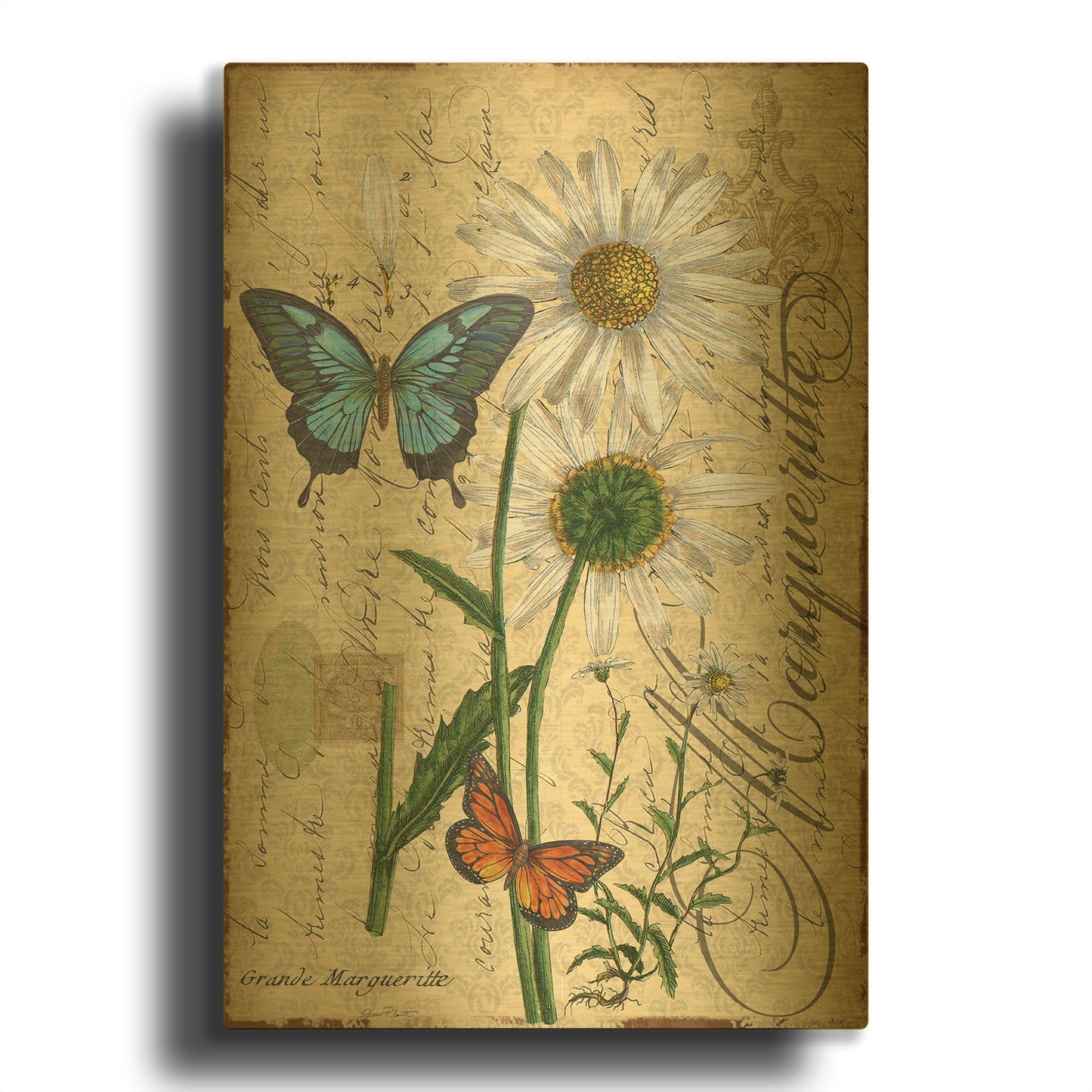 'Botanical Daisey Grande Marqueritte Damask' By Jean Plout Gold Metal Wall Art