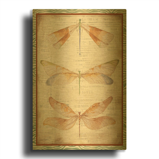 'Dragonfly Whisper A' By Jean Plout Gold Metal Wall Art