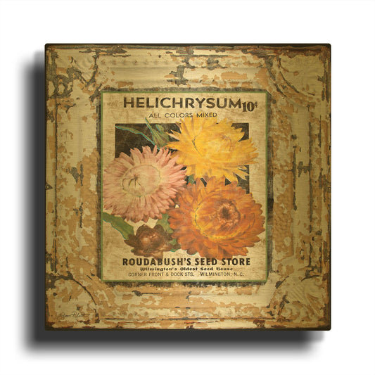 'Tin Tile Helchrysum' By Jean Plout Gold Metal Wall Art