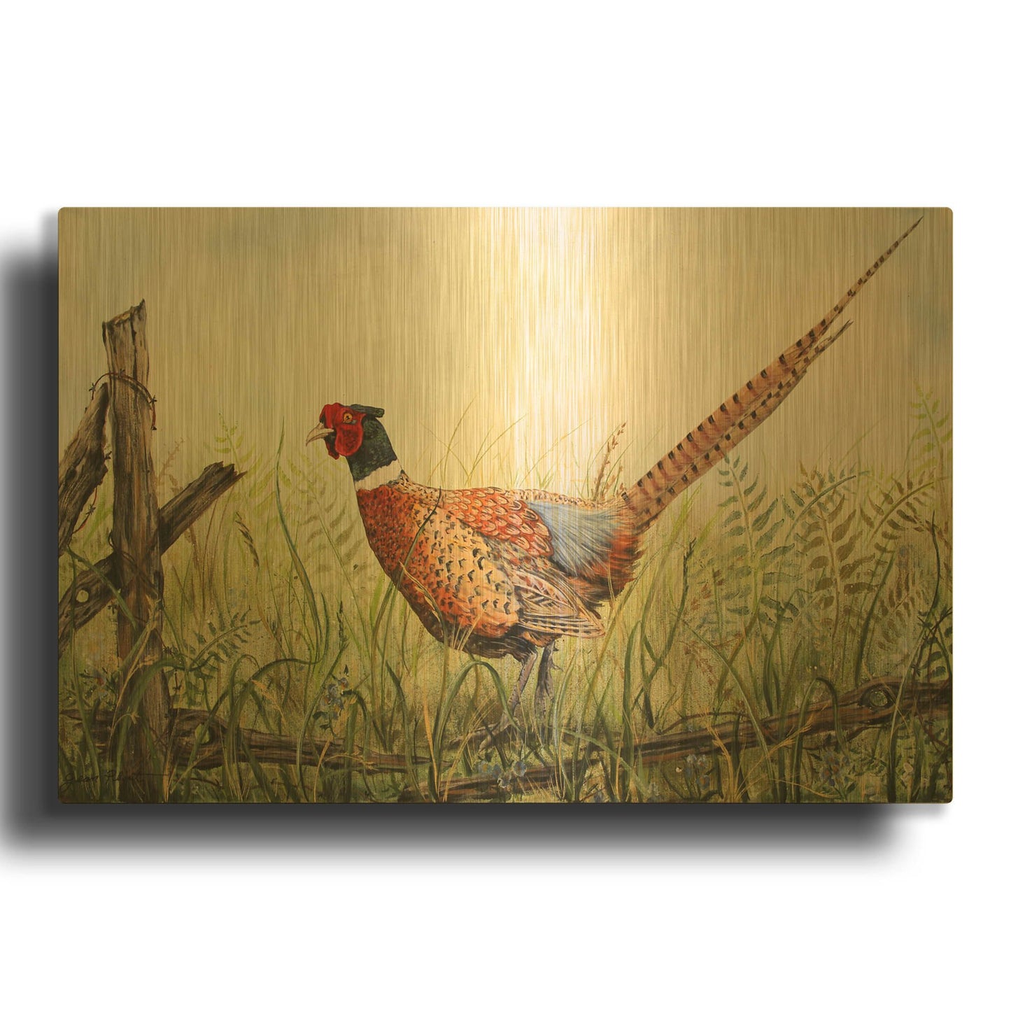 'Glorious Pheasant' By Jean Plout Gold Metal Wall Art