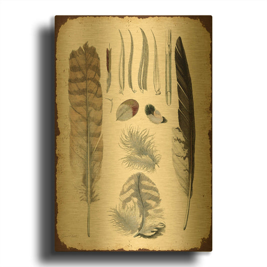 'Vintage Feather Study A' By Jean Plout Gold Metal Wall Art