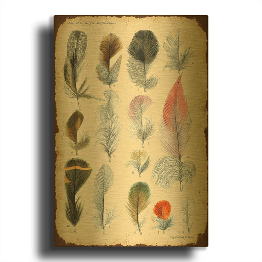 'Vintage Feather Study B' By Jean Plout Gold Metal Wall Art