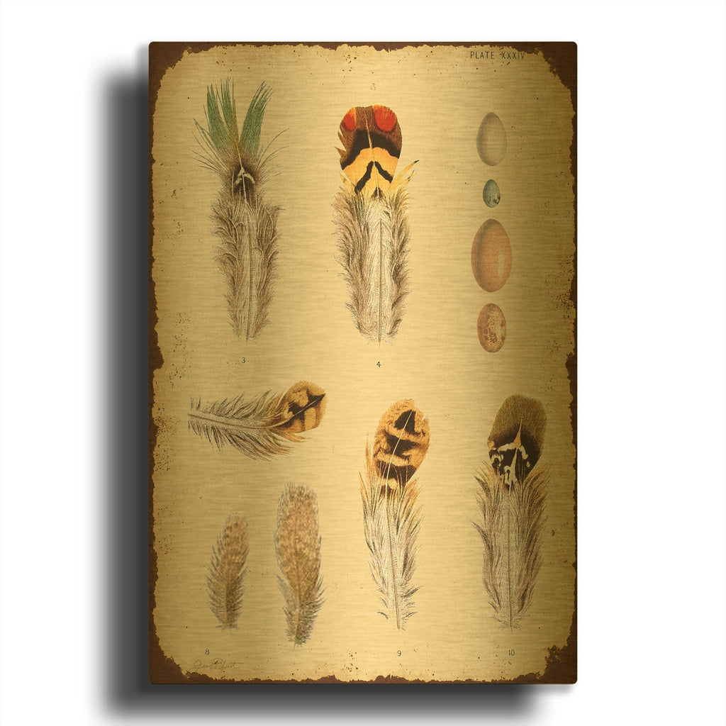 'Vintage Feather Study D' By Jean Plout Gold Metal Wall Art