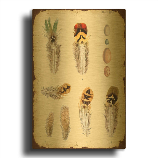 'Vintage Feather Study D' By Jean Plout Gold Metal Wall Art