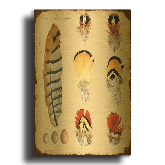 'Vintage Feather Study E' By Jean Plout Gold Metal Wall Art