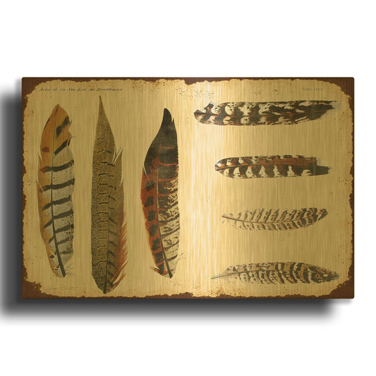'Vintage Feather Study F' By Jean Plout Gold Metal Wall Art