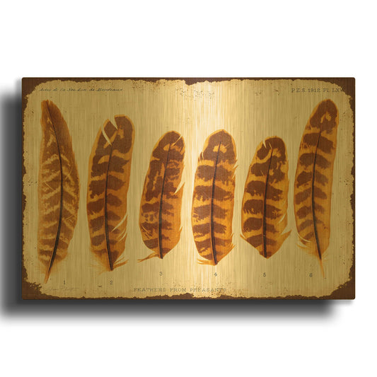 'Vintage Feather Study G' By Jean Plout Gold Metal Wall Art