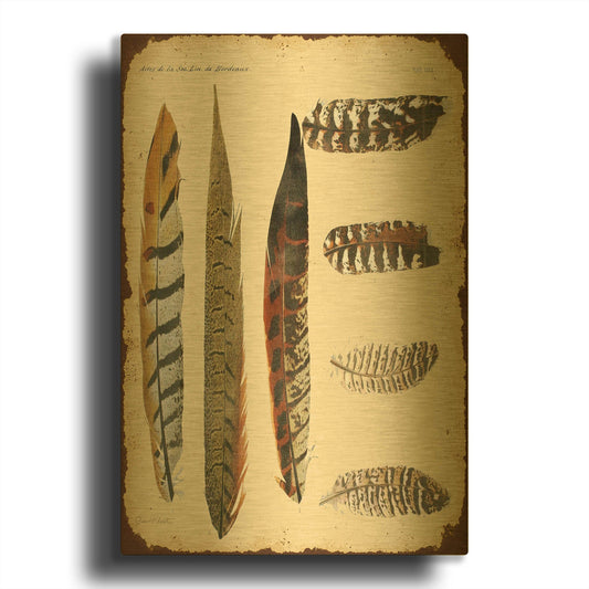 'Vintage Feather Study J' By Jean Plout Gold Metal Wall Art