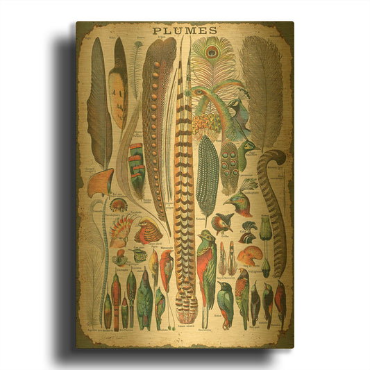 'Feather Plumes A' By Jean Plout Gold Metal Wall Art
