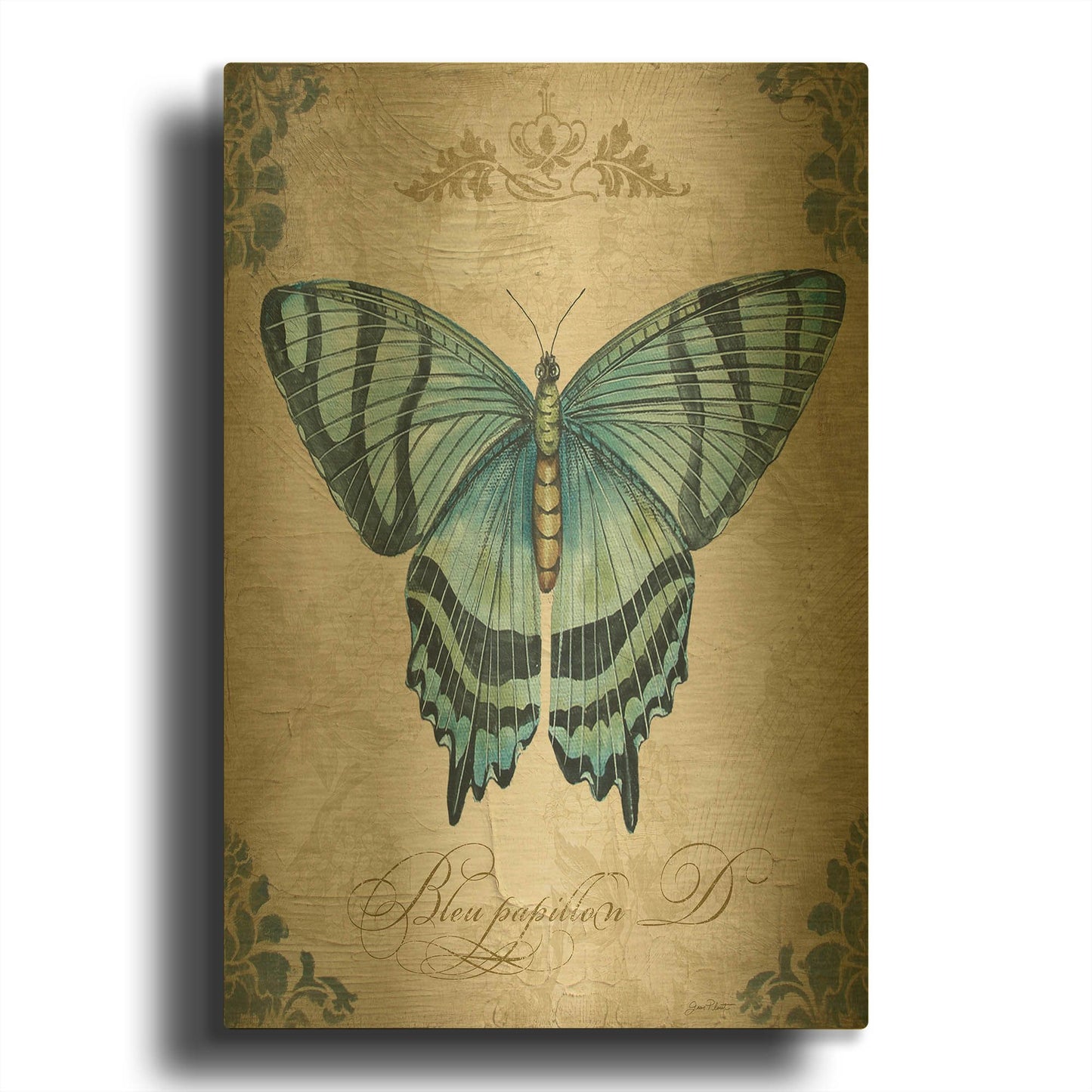 'Bleu Papillon D' By Jean Plout Gold Metal Wall Art