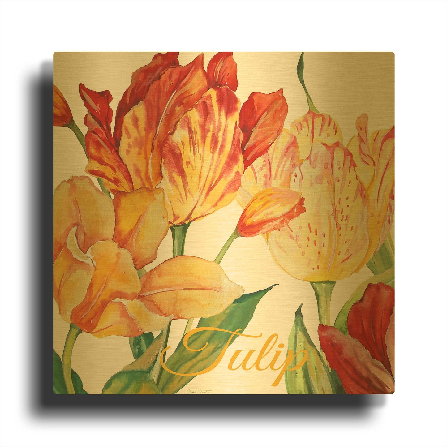 'Tulip A' By Jean Plout Gold Metal Wall Art