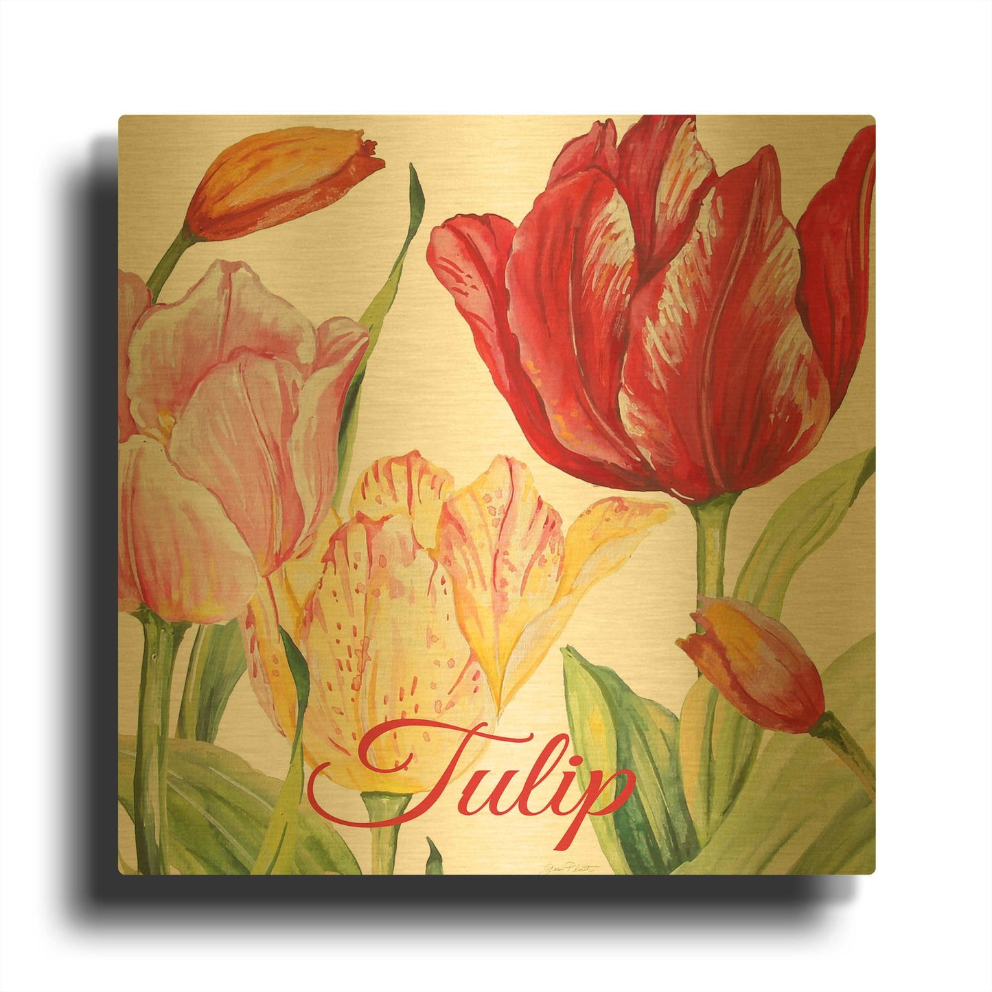 'Tulip B' By Jean Plout Gold Metal Wall Art
