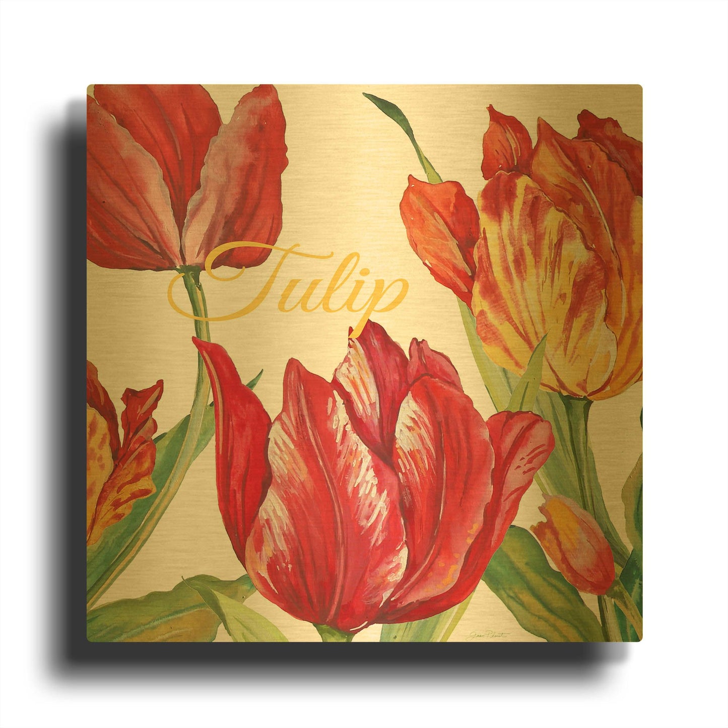 'Tulip C' By Jean Plout Gold Metal Wall Art