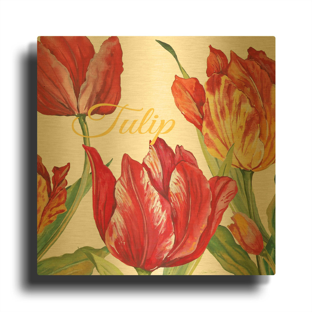 'Tulip C' By Jean Plout Gold Metal Wall Art