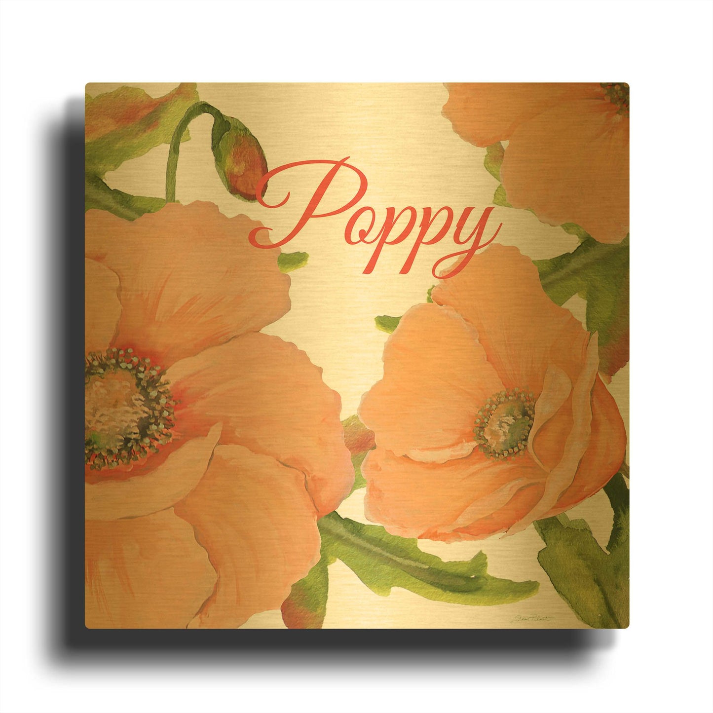 'Poppy B' By Jean Plout Gold Metal Wall Art