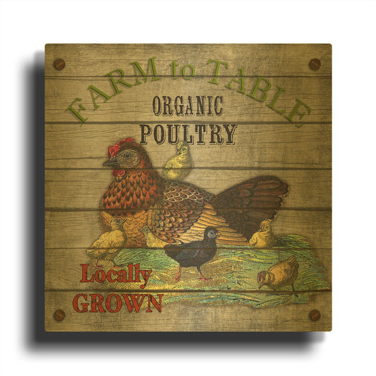 'Farm To Table Poultry' By Jean Plout Gold Metal Wall Art