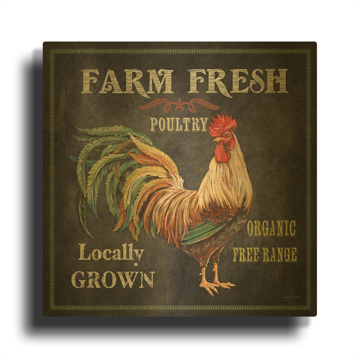 'Farm Fresh Rooster III' By Jean Plout Gold Metal Wall Art