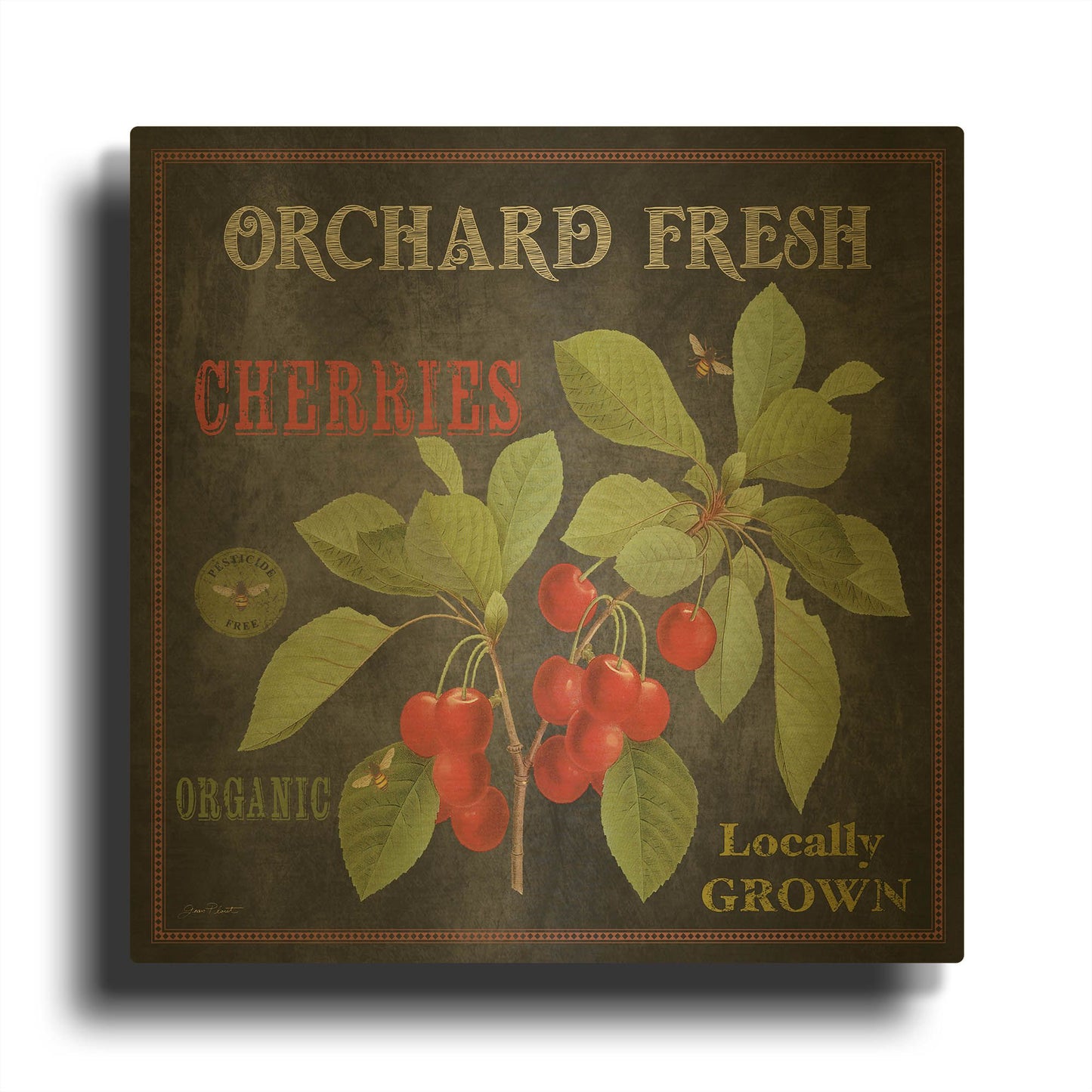 'Orchard Fresh Cherries' By Jean Plout Gold Metal Wall Art