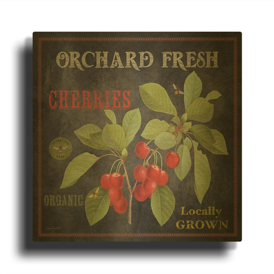 'Orchard Fresh Cherries' By Jean Plout Gold Metal Wall Art
