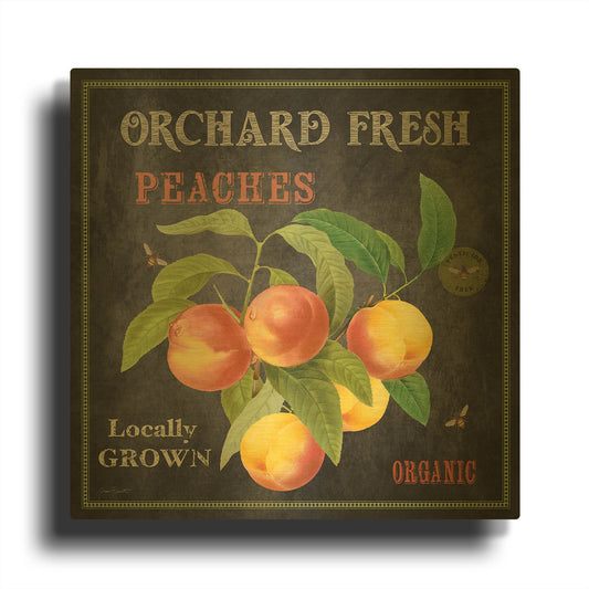 'Orchard Fresh Peaches' By Jean Plout Gold Metal Wall Art