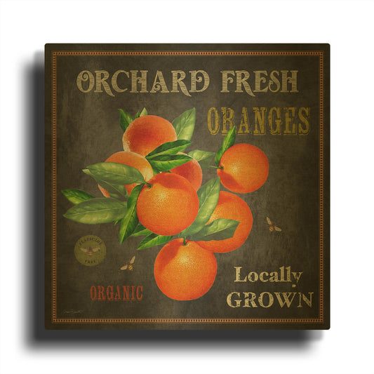 'Orchard Fresh Oranges' By Jean Plout Gold Metal Wall Art