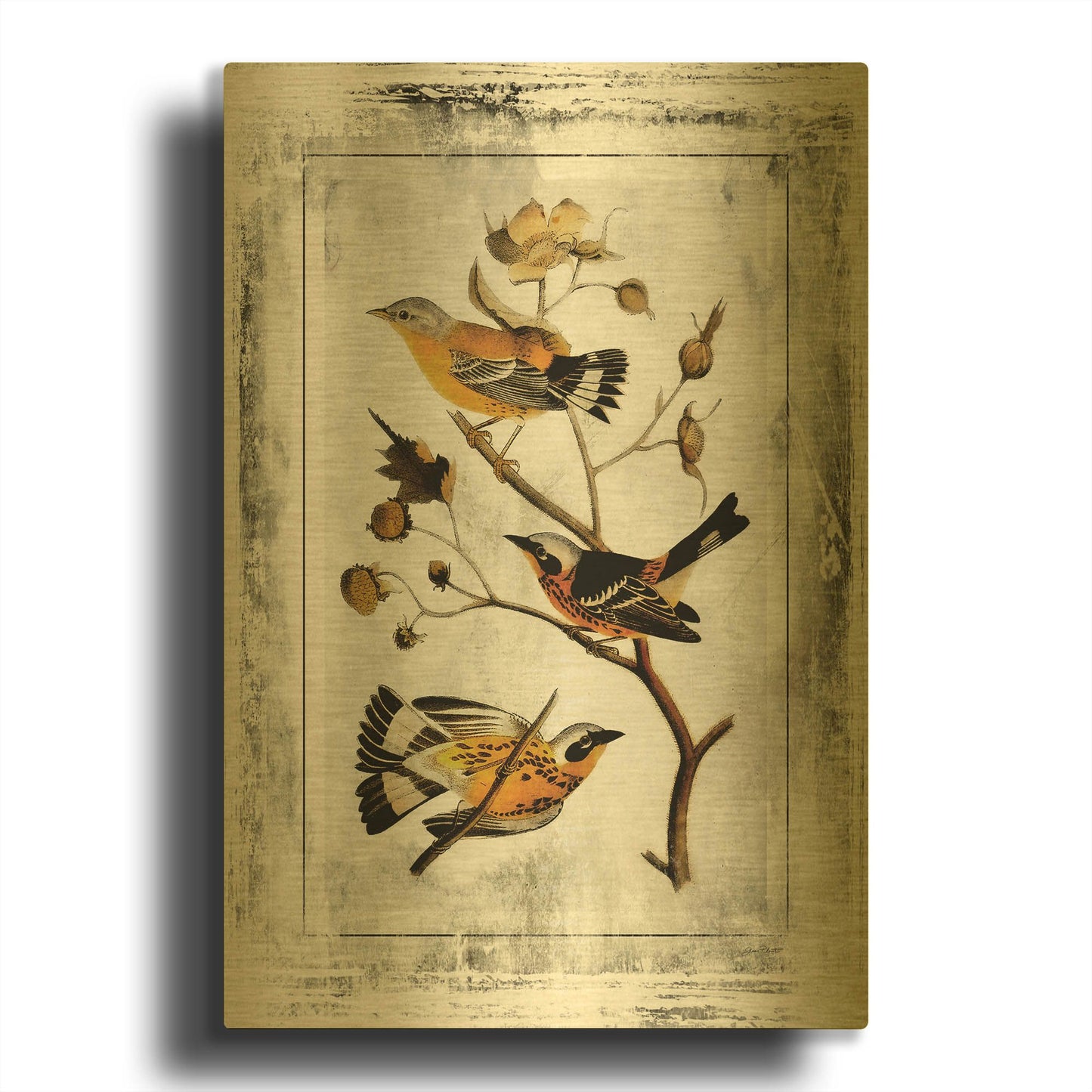 'Good Birds With Class' By Jean Plout Gold Metal Wall Art
