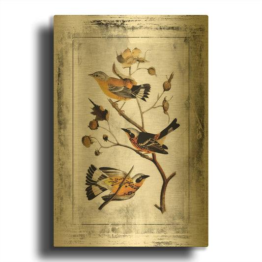 'Good Birds With Class' By Jean Plout Gold Metal Wall Art