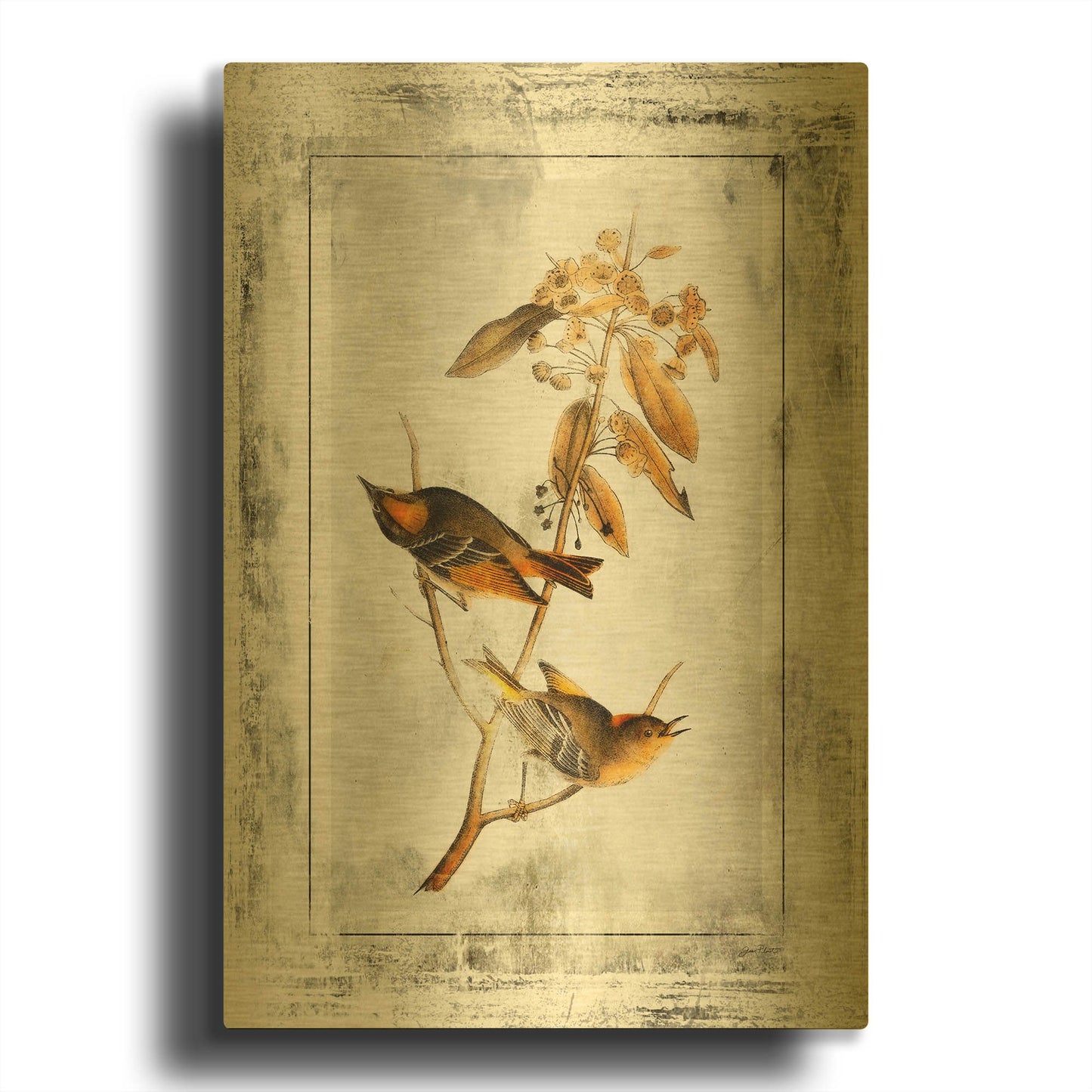 'Birds With Class 4' By Jean Plout Gold Metal Wall Art