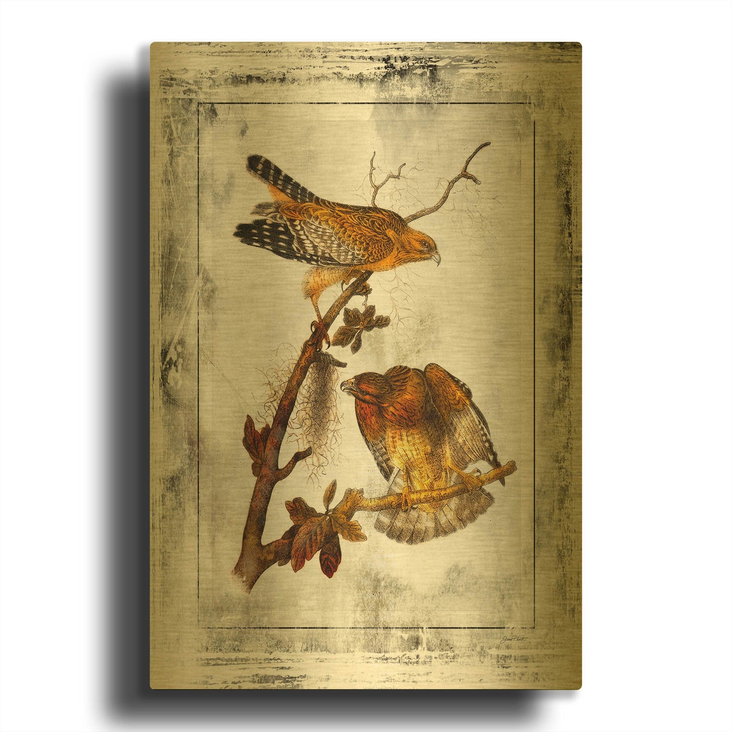 'Birds With Class 2' By Jean Plout Gold Metal Wall Art