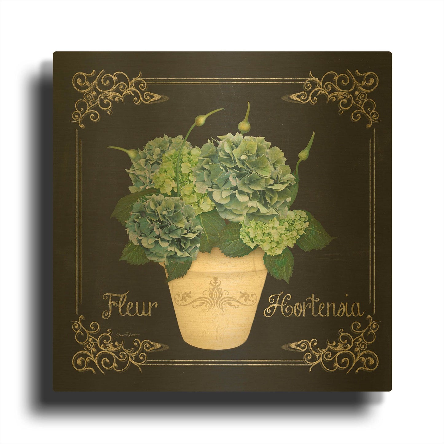 'Fleur Hortensia 3' By Jean Plout Gold Metal Wall Art