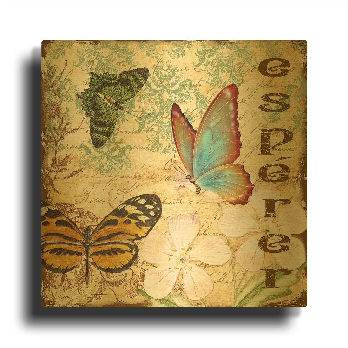 'Inspirational Butterflies 4' By Jean Plout Gold Metal Wall Art