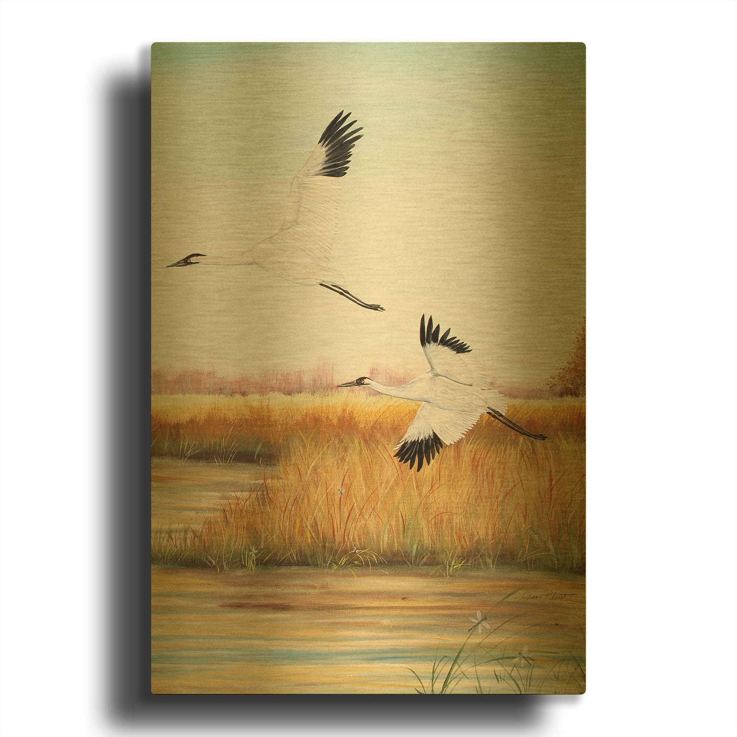 'Whooping Cranes 1' By Jean Plout Gold Metal Wall Art