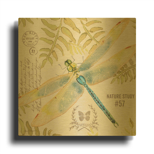 'Botanical Dragonfly 5' By Jean Plout Gold Metal Wall Art