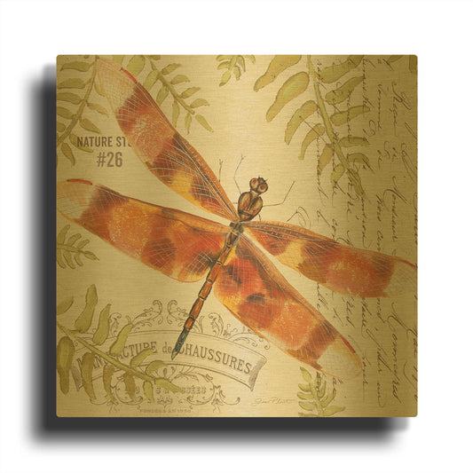 'Botanical Dragonfly 3' By Jean Plout Gold Metal Wall Art