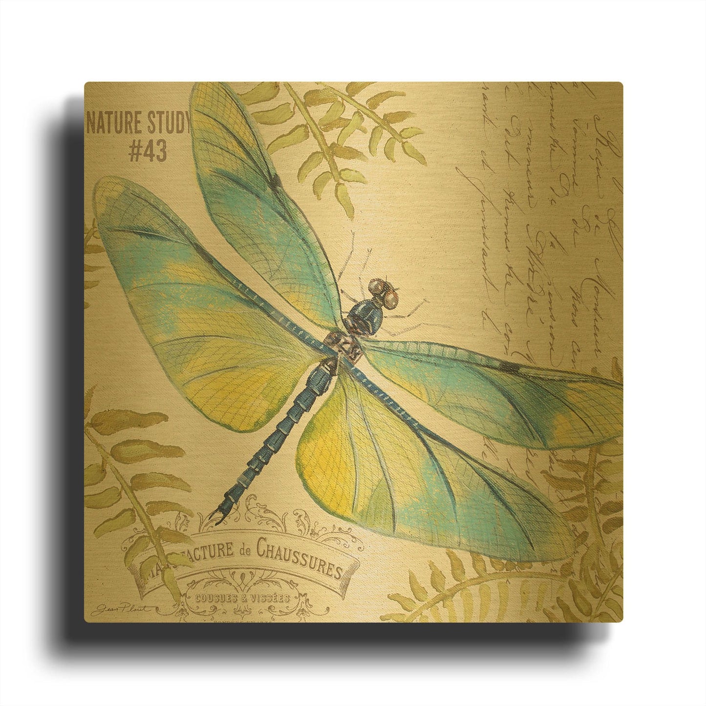 'Botanical Dragonfly 2' By Jean Plout Gold Metal Wall Art